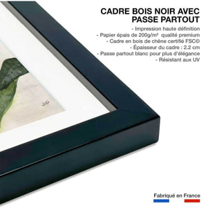 Poster Sanseveria aquarelle Affiche + cadre en bois - Noir
