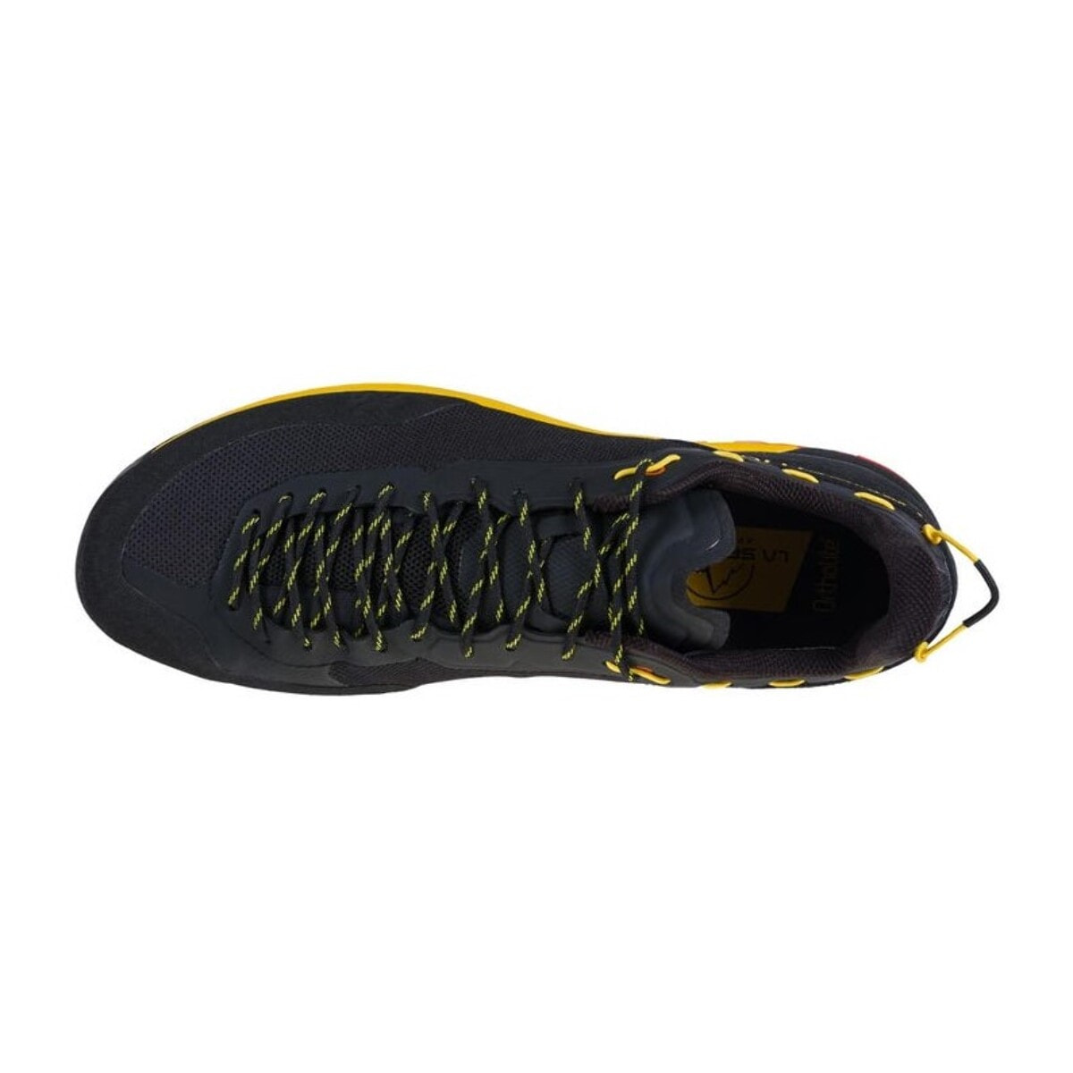 Tx Guide Hombre Zapatillas Aproximación