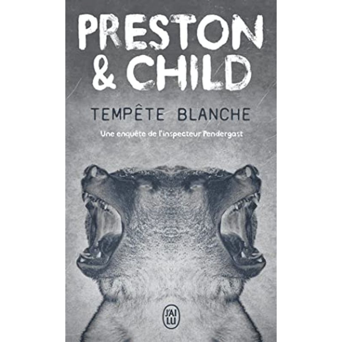 Child,Lincoln | Tempête blanche: Une enquête de l'inspecteur Pendergast | Livre d'occasion