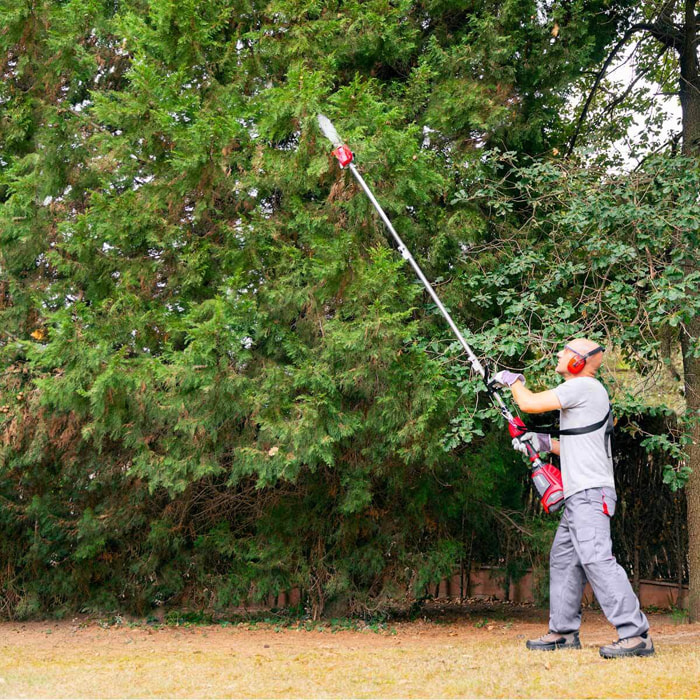 Podadora de altura de batería 56V espada de 254mm Greencut PP560L