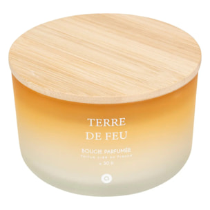 Bougie parfumée "Terre des merveilles" bouquet de lila 420g