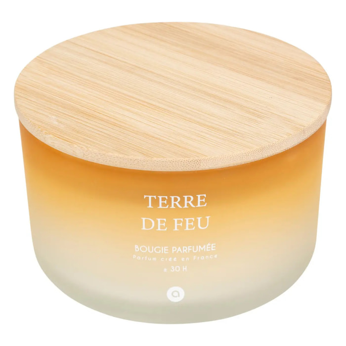 Bougie parfumée "Terre des merveilles" bouquet de lila 420g