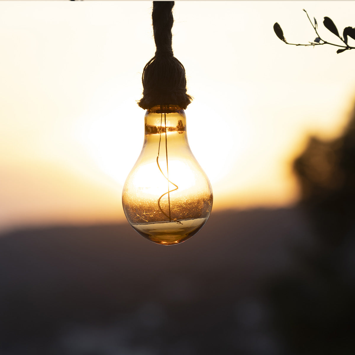 Suspension solaire corde CORDY 2M20