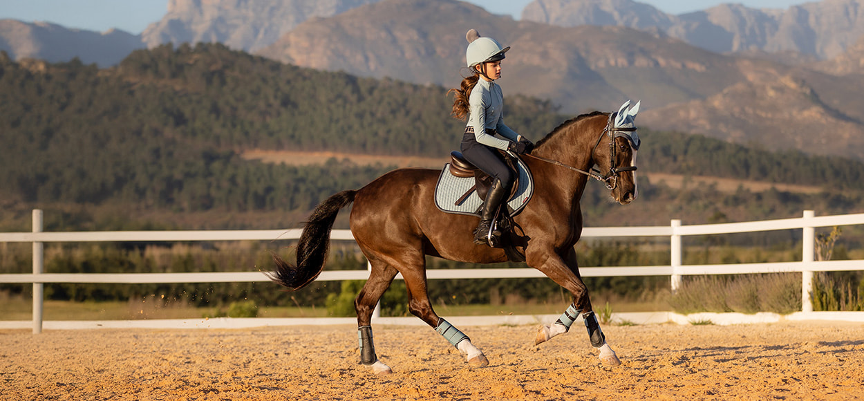 LEMIEUX en soldes sur VEEPEE