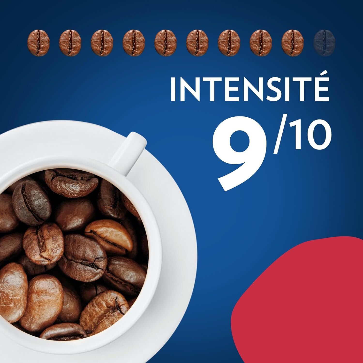 Grains Momento Vivace 1kg