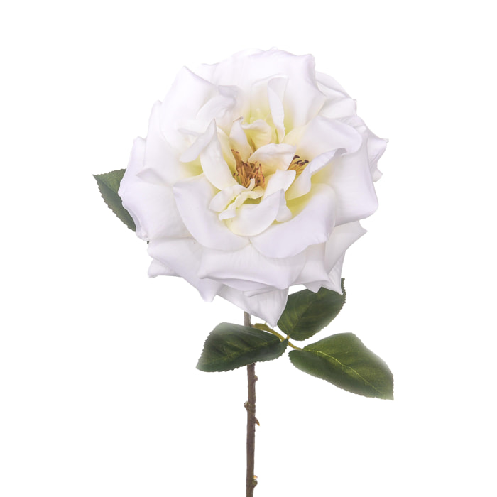 Rosa Aperta. Altezza 50 Cm - Pezzi 6 - 15X50X15cm - Colore: Bianco - Bianchi Dino - Fiori Artificiali