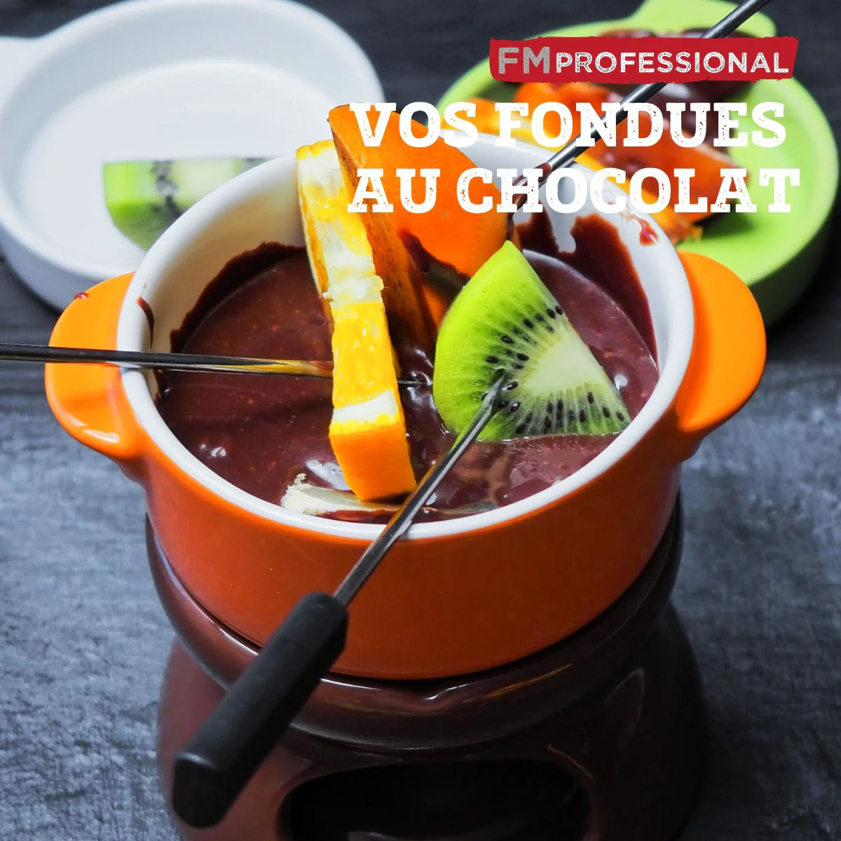 Brûleur alcool fondue savoyarde FM Professional