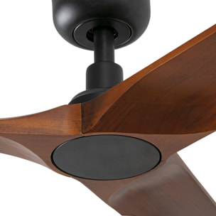 HEYWOOD S Ventilatore a soffitto  nero/legno scuro