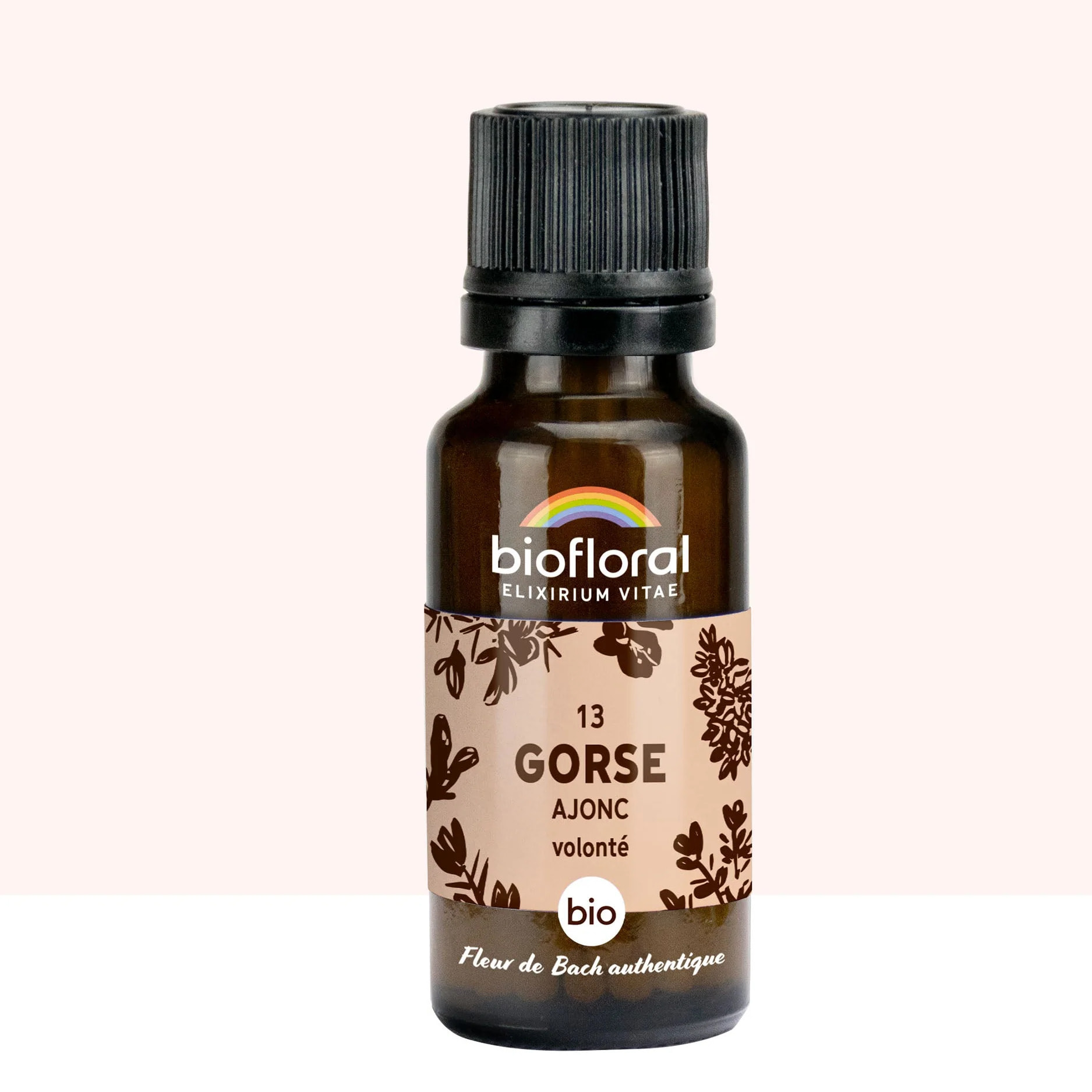 Biofloral - 13 Gorse, Ajonc - Bio - 19,5 gr