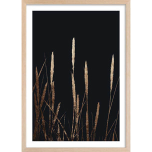 Poster blés dorés Affiche + cadre en bois - Chêne
