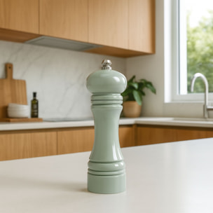Moulin à sel ou poivre en plastique céladon