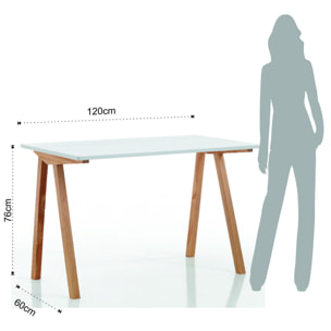 Tomasucci Scrivania / computer desk MAK multicolore