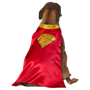 KRYPTO PET COSTUME
