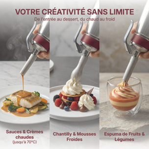 Siphon professionnel inox GOBEL - cuve inox - tête inox - 0.5L