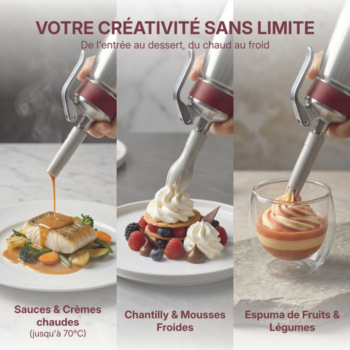 Siphon professionnel inox GOBEL - cuve inox - tête inox - 0.5L