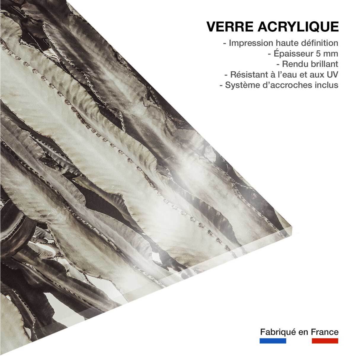 Tableau cactus mood Tableau plexiglas