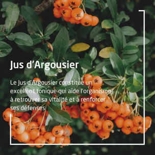 WELEDA - Jus d'Argousier BIO - 200 ml