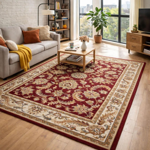 Tapis salon Rectangulaire Oriental