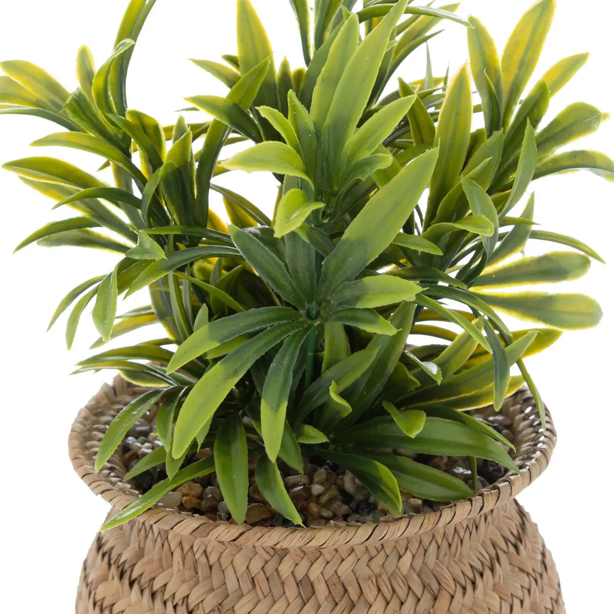 Plante artificielle en pot "Jiling" en roseau H20cm