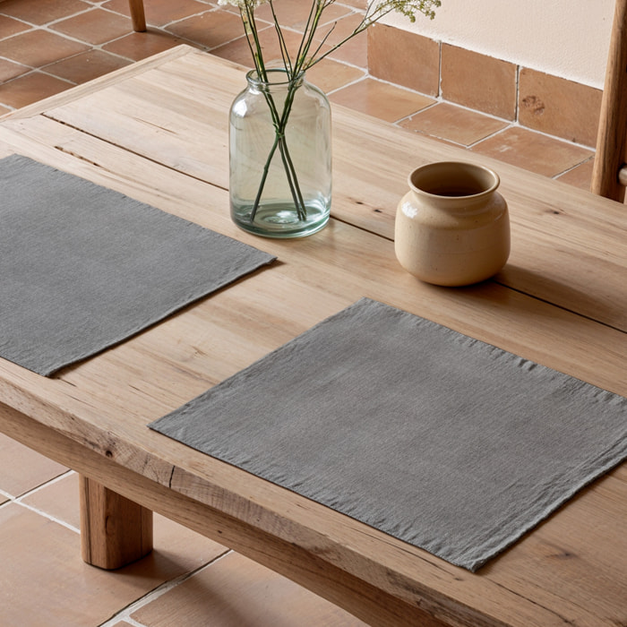 Pack de dos manteles individuales INDRA GRIS