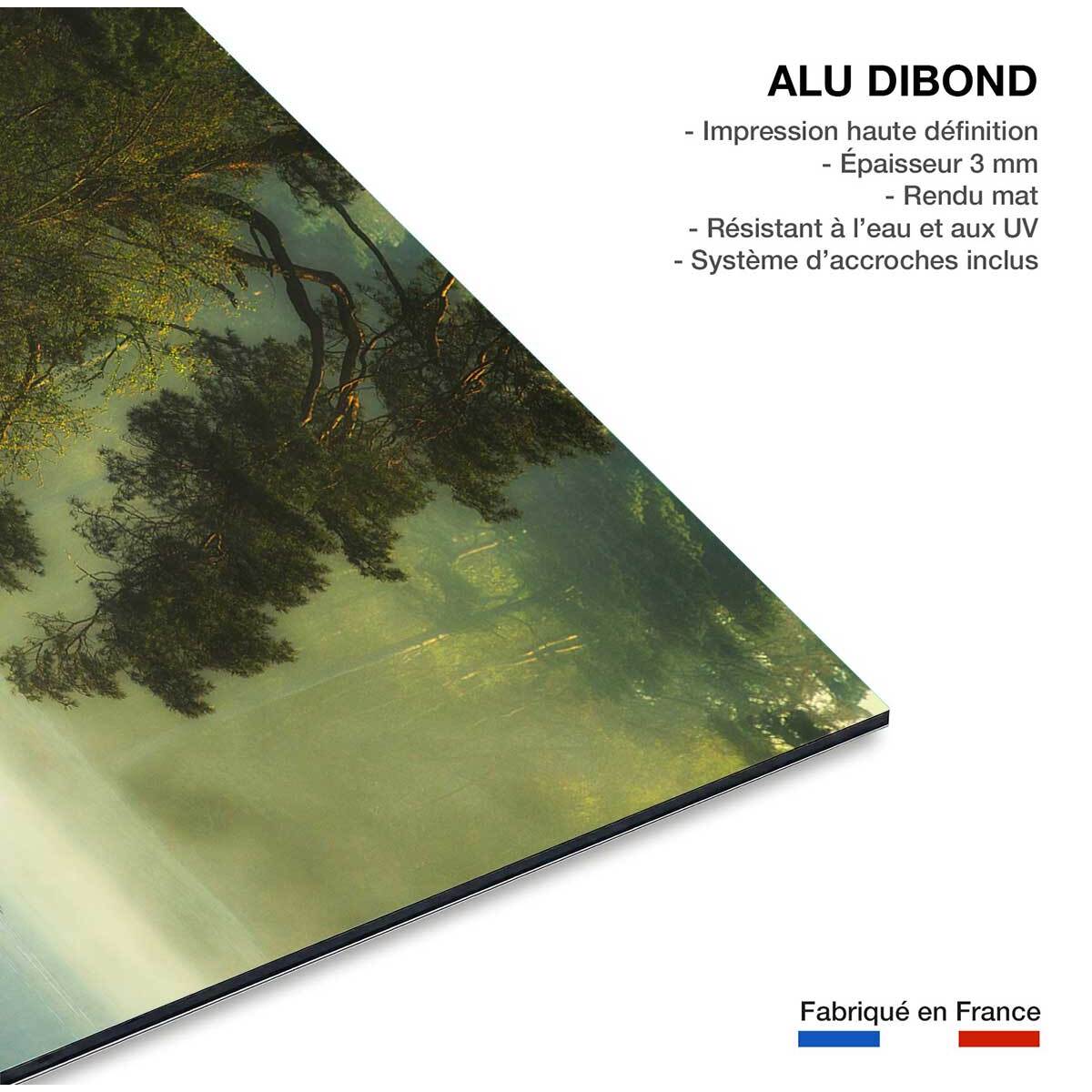 Tableau paysage marais neerlandais Tableau alu Dibond