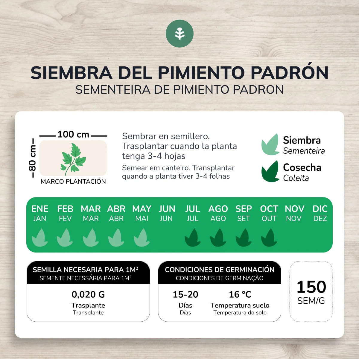 Semillas de Pimiento de Padrón ecológicas Planeta Huerto