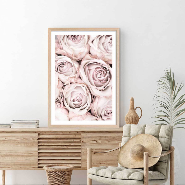 Affiche  rosa alba Affiche + cadre en bois - Chêne
