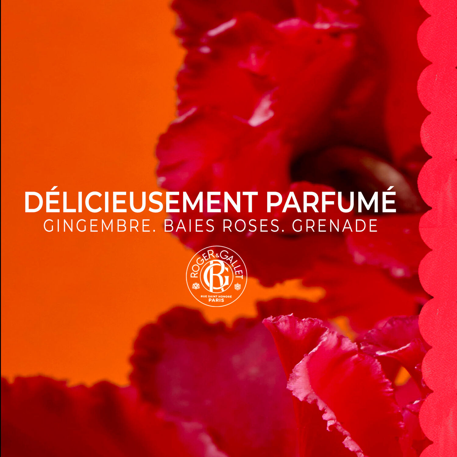 Gingembre Rouge - Lait Corps Bienfaisant