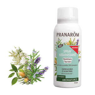 Pranarom - Spray assainissant Ravintsara - Tea tree - Bio - 75 ml