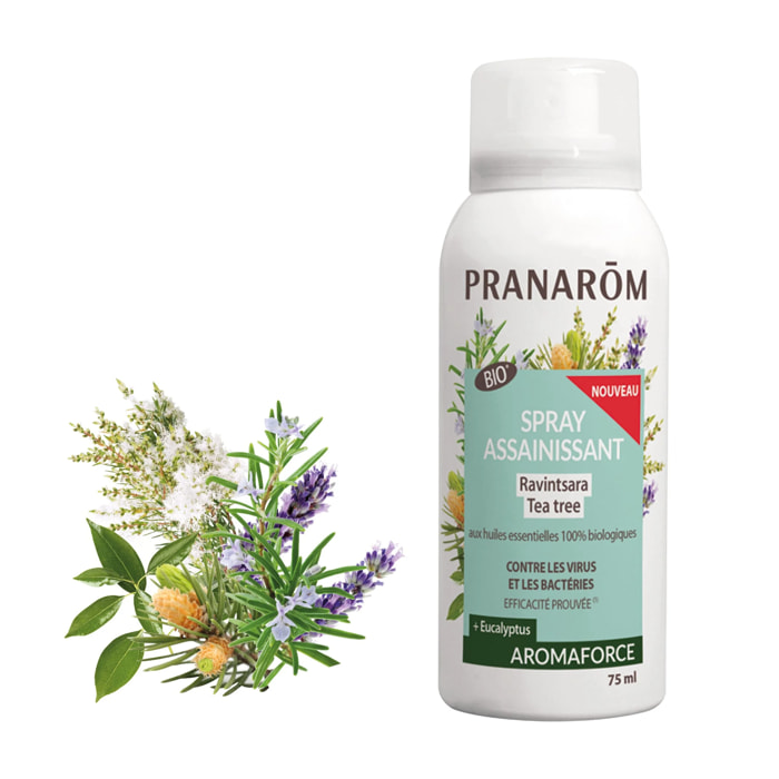 Pranarom - Spray assainissant Ravintsara - Tea tree - Bio - 75 ml