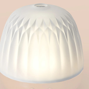 Pranarom - Dôme BAROCCO pour diffuseur CERA - 1 pièce