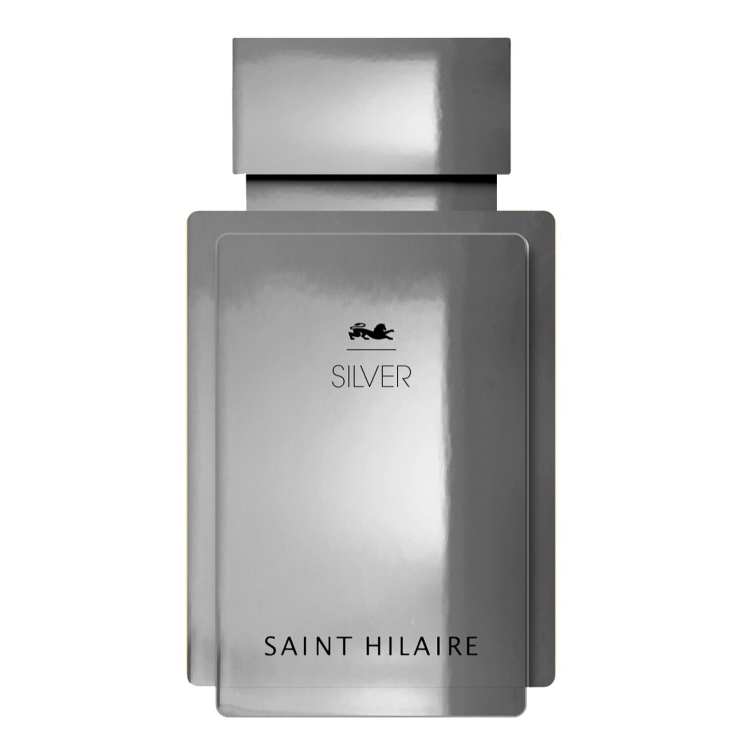 Silver - Eau de Parfum 100ml