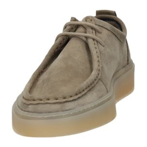Derby Uomo Tata Italia Beige
