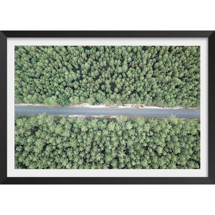 Affiche infinitude de la forêt landaise Affiche + cadre en bois - Noir