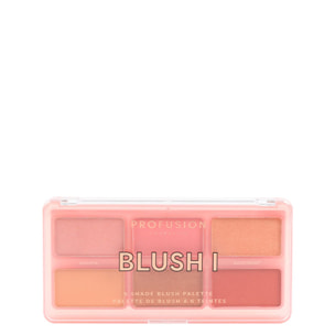 Palette Blush I - Teint 6 Couleurs 108 g