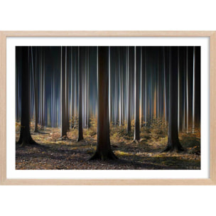 Affiche paysage forêt fantastique Affiche + cadre en bois - Chêne