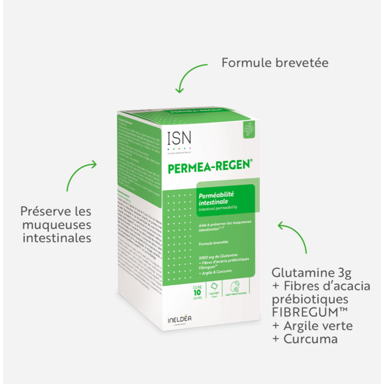 ISN - Permea-Regen - Complément alimentaire à base de Plantes, Vitamines et Minéraux - Préserve la Santé de l'Intestin - Arôme Fruits Rouges - 10 Sachets