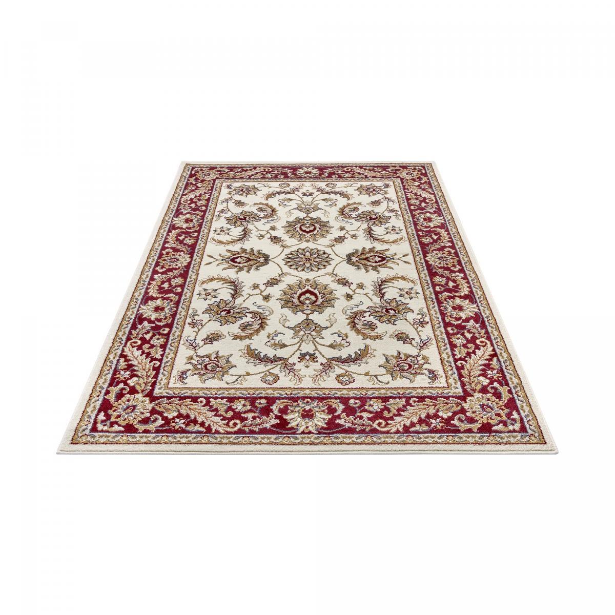 Tapis salon Rectangulaire Oriental