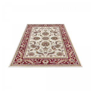 Tapis salon Rectangulaire Oriental