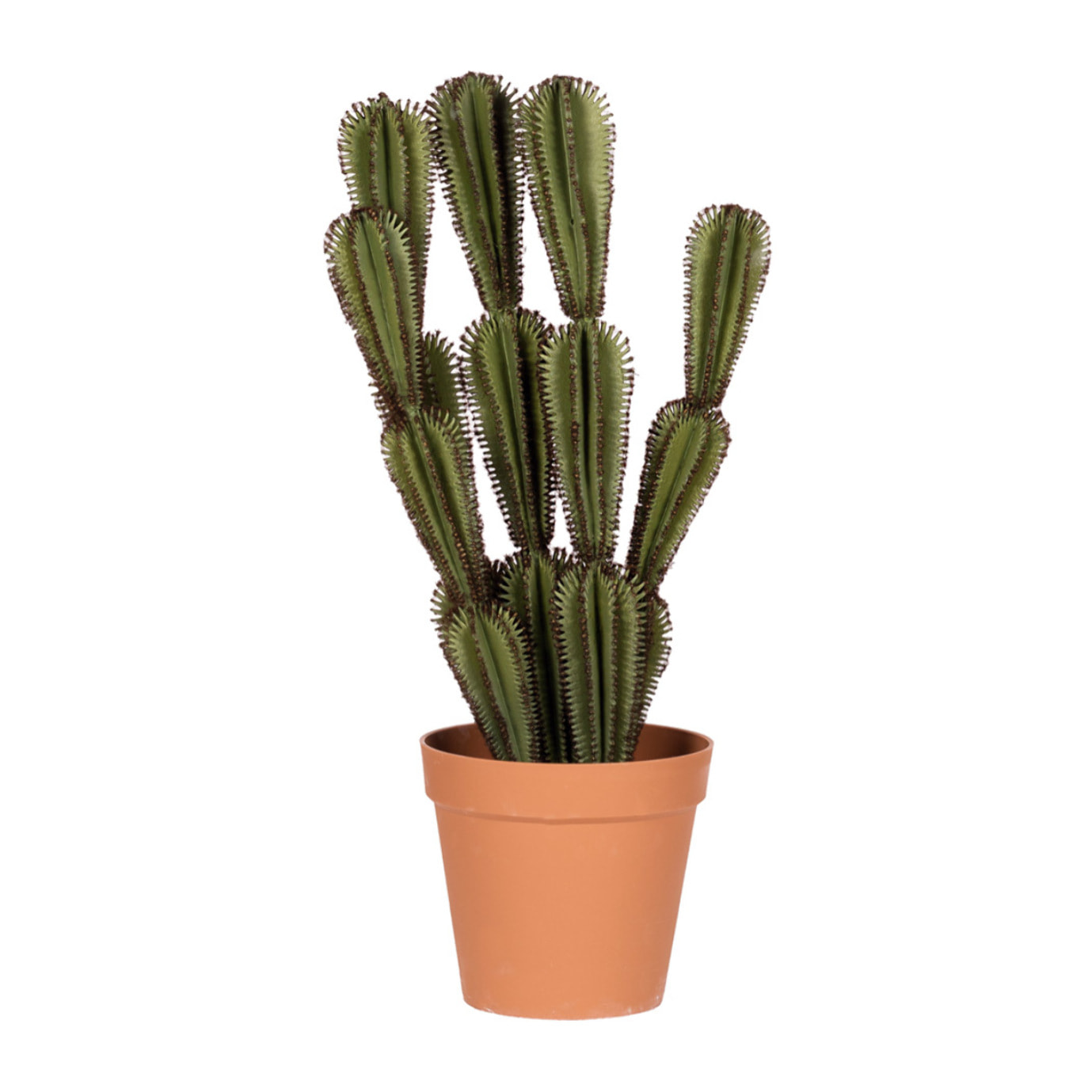Cactus Artificial Euphorbia Suzannae 90 Cm