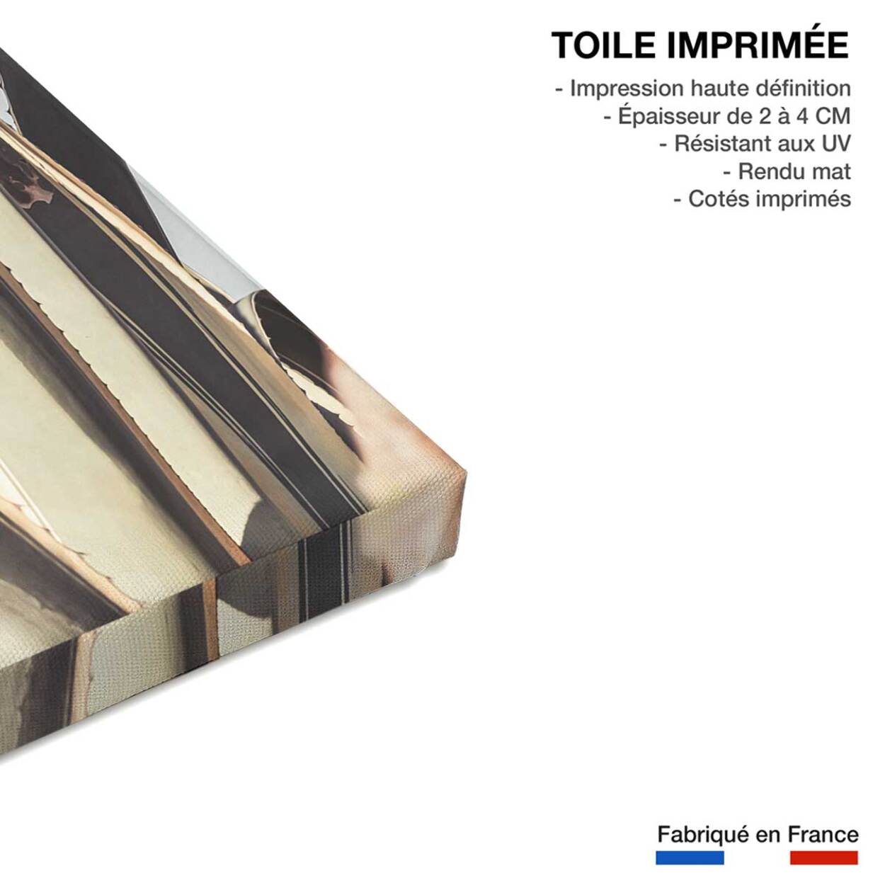 Tableau cactus mexicain Toile imprimée