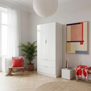 Armario de 2 puertas y 2 cajones en blanco 81,5x180 cm Lark Blanco