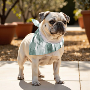 Pack de 2 bandanas pour animaux Lutton Esmeralda