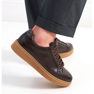Sneaker British Passport Testa di Moro