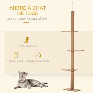 Arbre à chat poteau à griffer hauteur réglable dim. 43L x 27I x 228-260H cm 4 niveaux d'activités marron