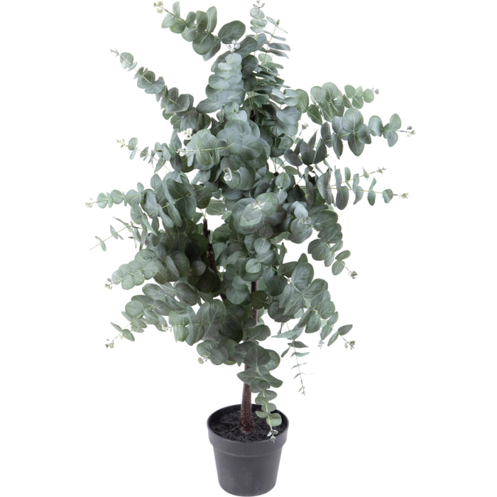 Pianta Di Eucalyptus In Vaso. Altezza 110 Cm - Pezzi 1 - 45X112X45cm - Colore: Verde - Bianchi Dino - Piante Artificiali