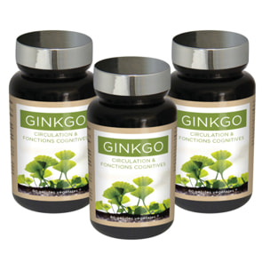 NUTRI EXPERT - Ginkgo Biloba - Préservation mémoire et fonctions cognitives - Soutient la circulation périphérique - Complément Alimentaire Végan - Cure 30 jours - Marque Française - Lot de 3 produits