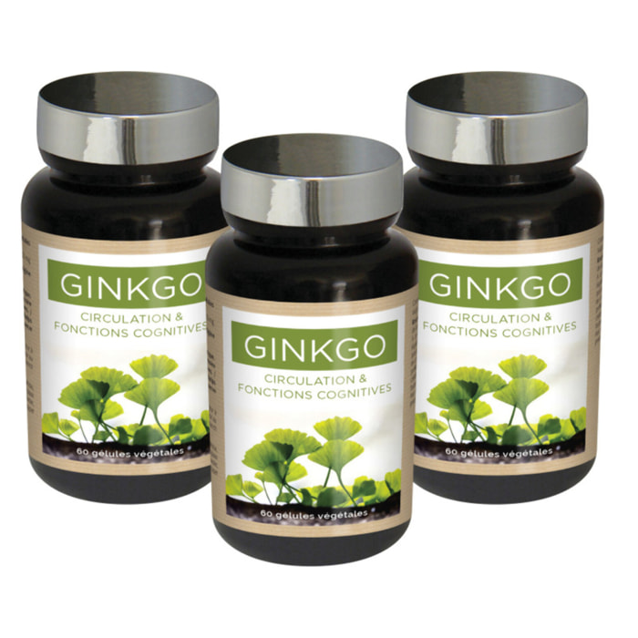 NUTRI EXPERT - Ginkgo Biloba - Préservation mémoire et fonctions cognitives - Soutient la circulation périphérique - Complément Alimentaire Végan - Cure 30 jours - Marque Française - Lot de 3 produits