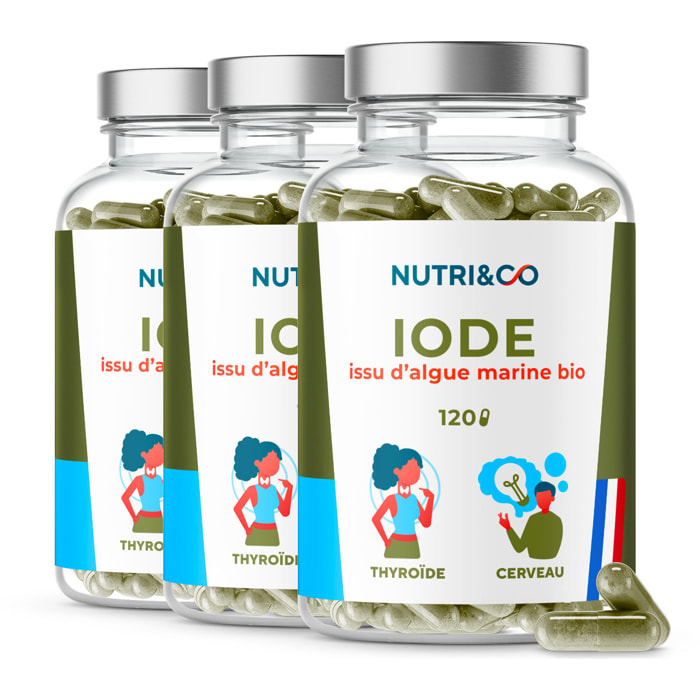Iode d'Algue Marine Bio Soutien de la Thyroïde - 120 gélules Vegan - Lot de 3