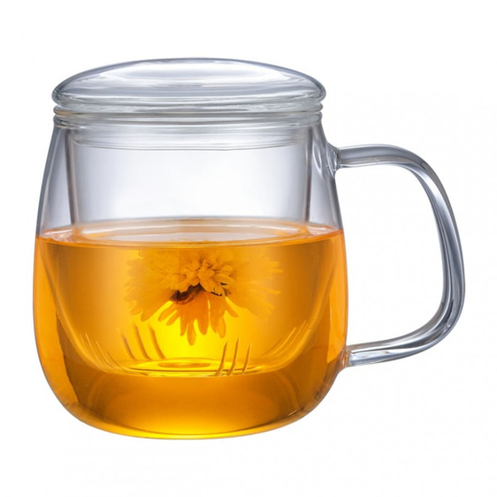 Mug à infusion en verre avec filtre en verre 550ml